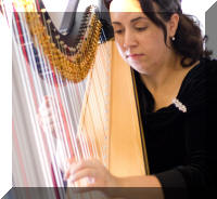 The coctail reception was graced with classical music played by Nadia Pessoa. She is an arpist with the US Army Band, and has played in numerous professional settings, including the State Department and the White House Christmas Party