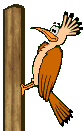 Woodpecker_2.gif